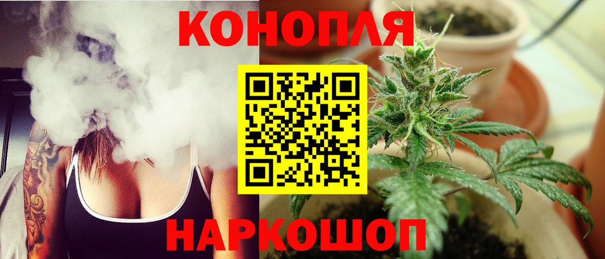 Бошки марихуана OG Kush Бердск